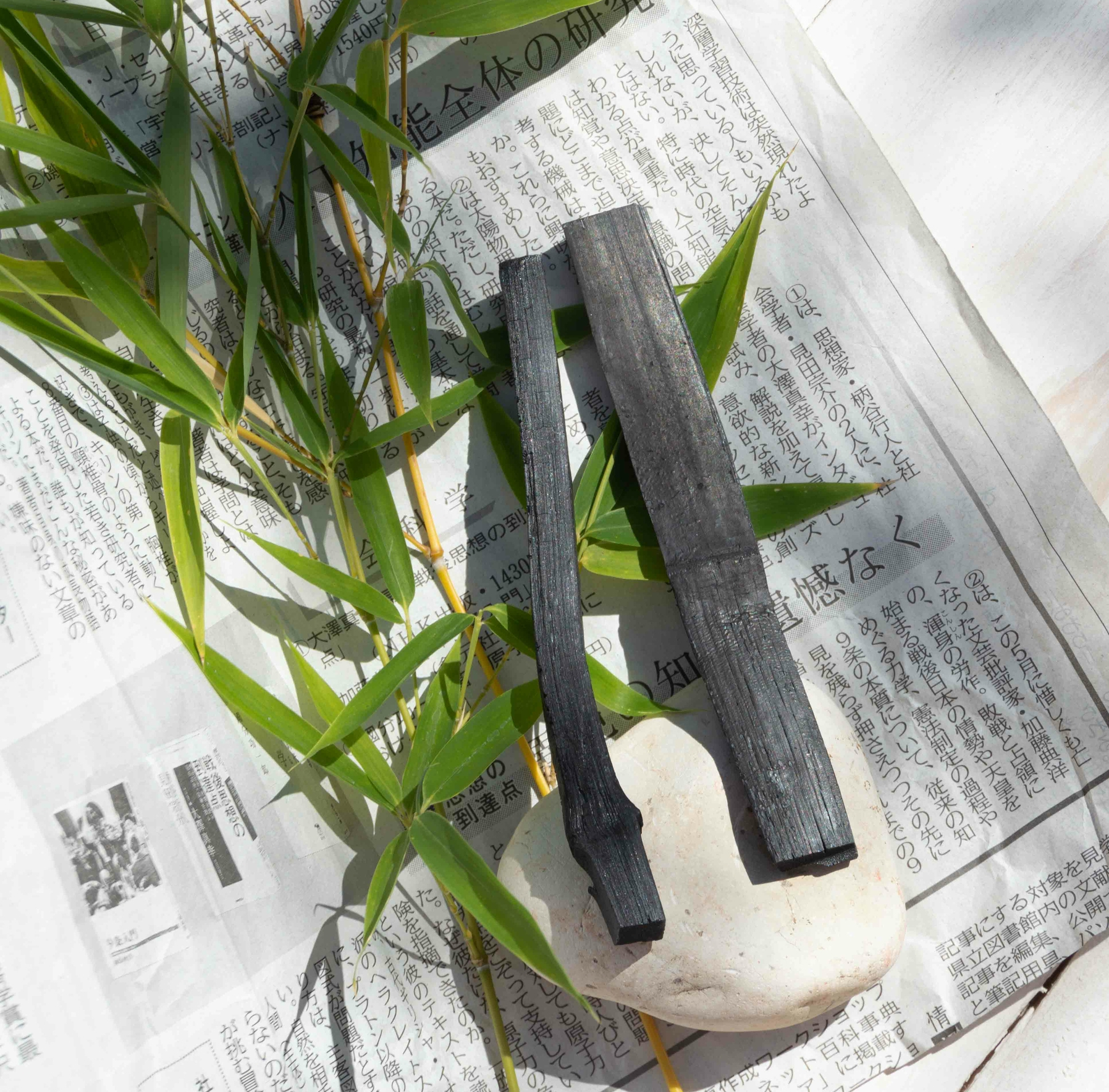 Charbon végétal actif de bambou Zero
