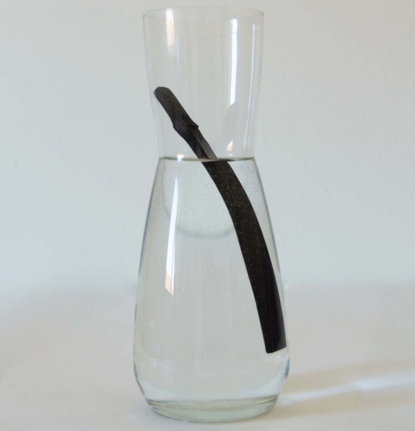 Charbon végétal actif de bambou Takesumi - Stick carafe - Zero