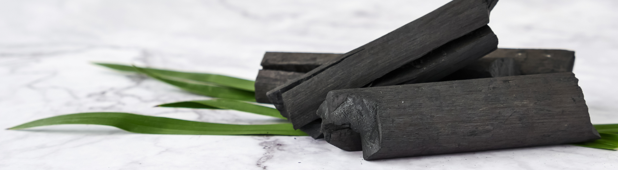 charbon vegetal actif presente par rezo