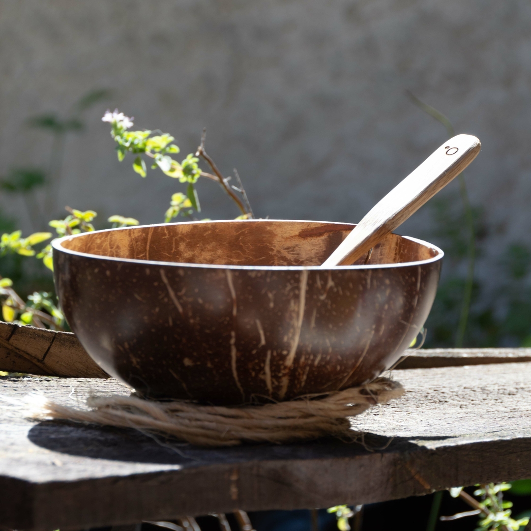 Bol en noix de coco de qualité supérieure biodégradable