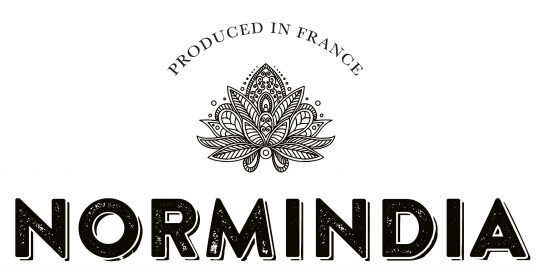 normindia-logo-540-271-45-7207