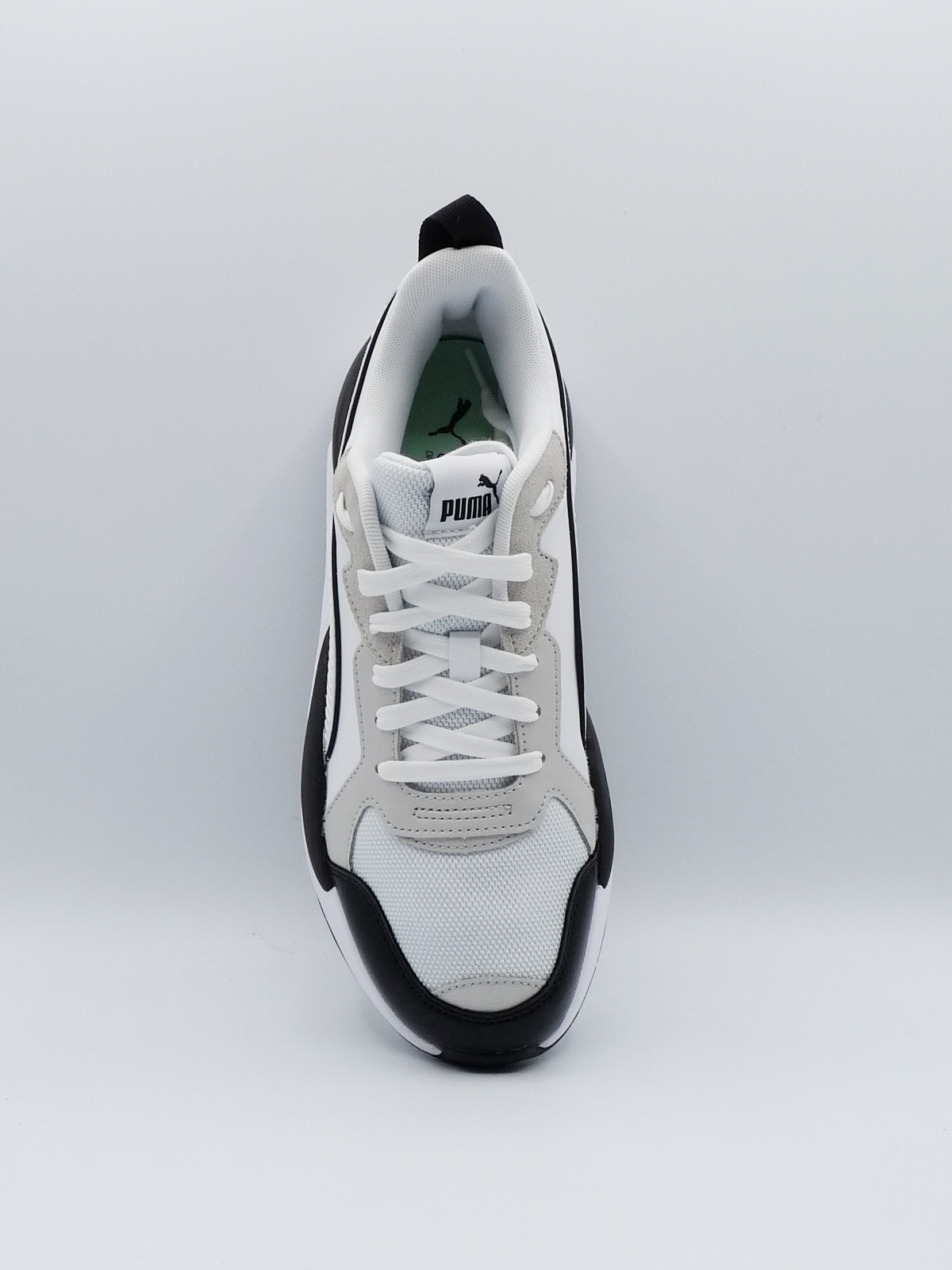 Puma X-Ray (5)