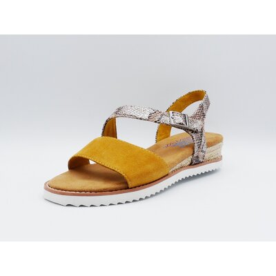 Skechers Cactus (1)