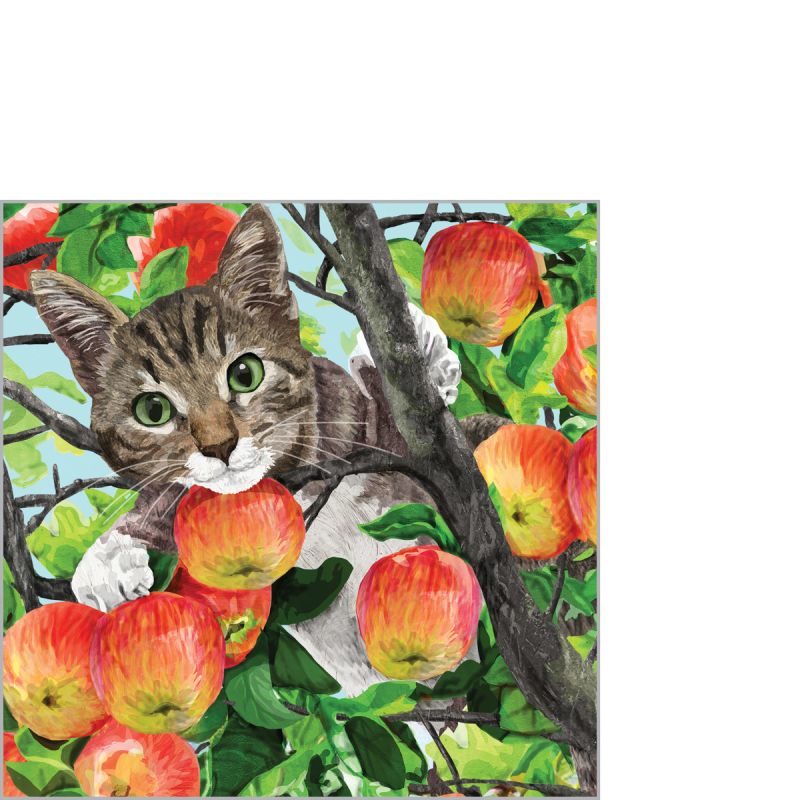 CHAT POMME