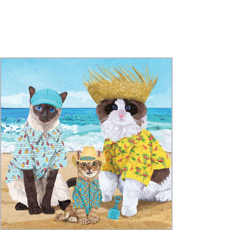 CHAT PLAGE