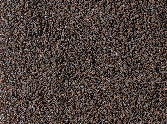 Mozambique Bio