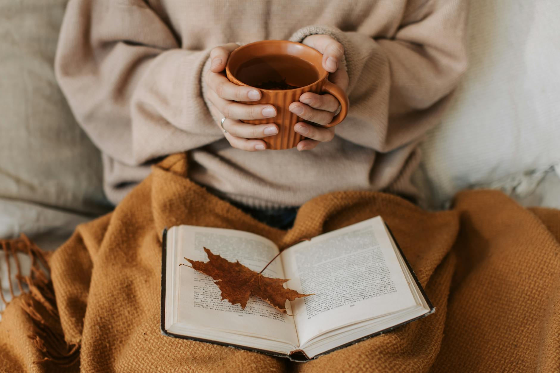 photos gratuites de a l interieur automnal automne