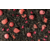 Screenshot 2026-06-25 at 15-32-08 21574 Thé noir Baies fraîches Framboise-Myrtille _ Thé noir Thé