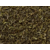 Nepal bio