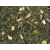 Japon Lime