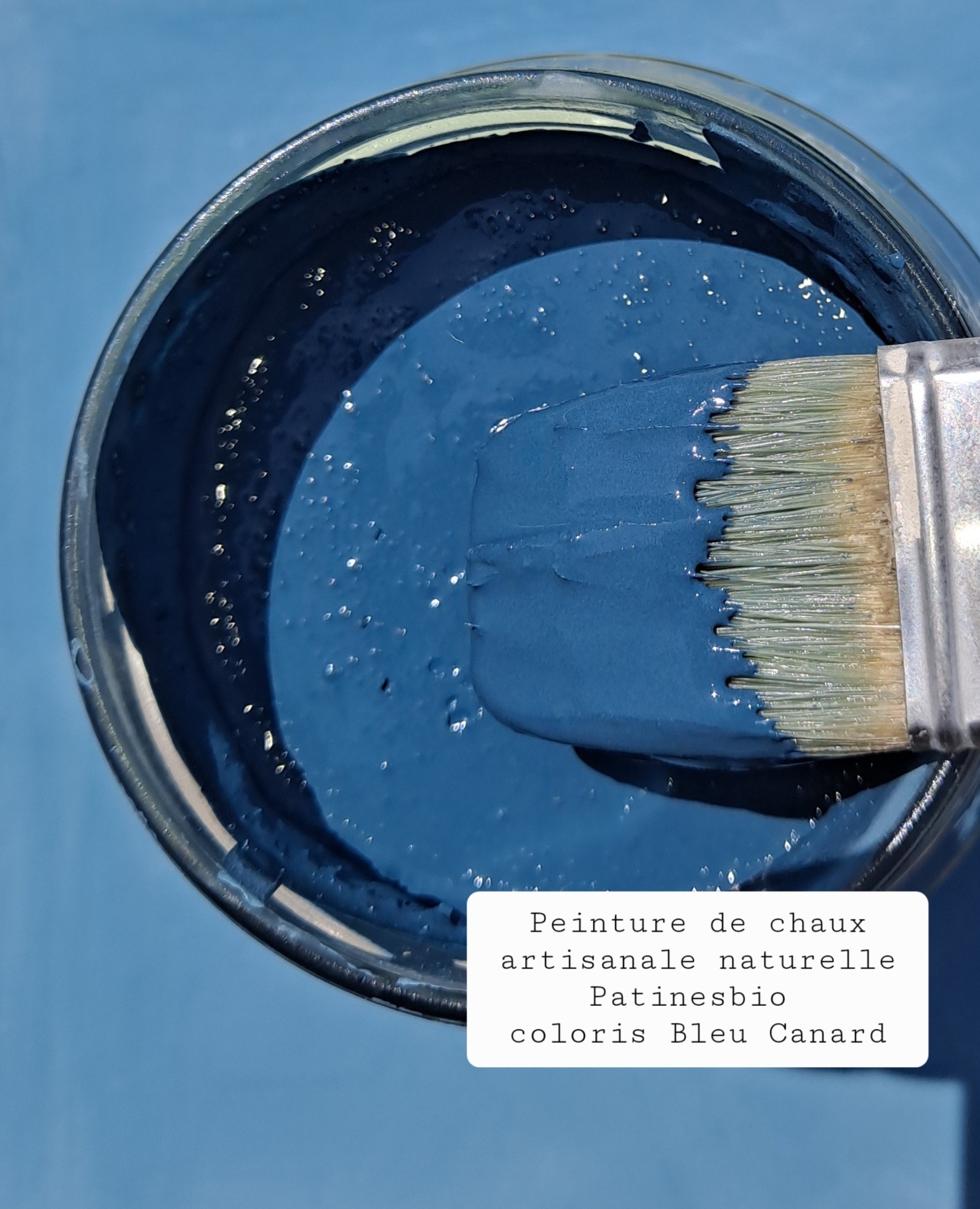peinture murale haut de gamme naturelle à la chaux coloris Bleu Canard — free download