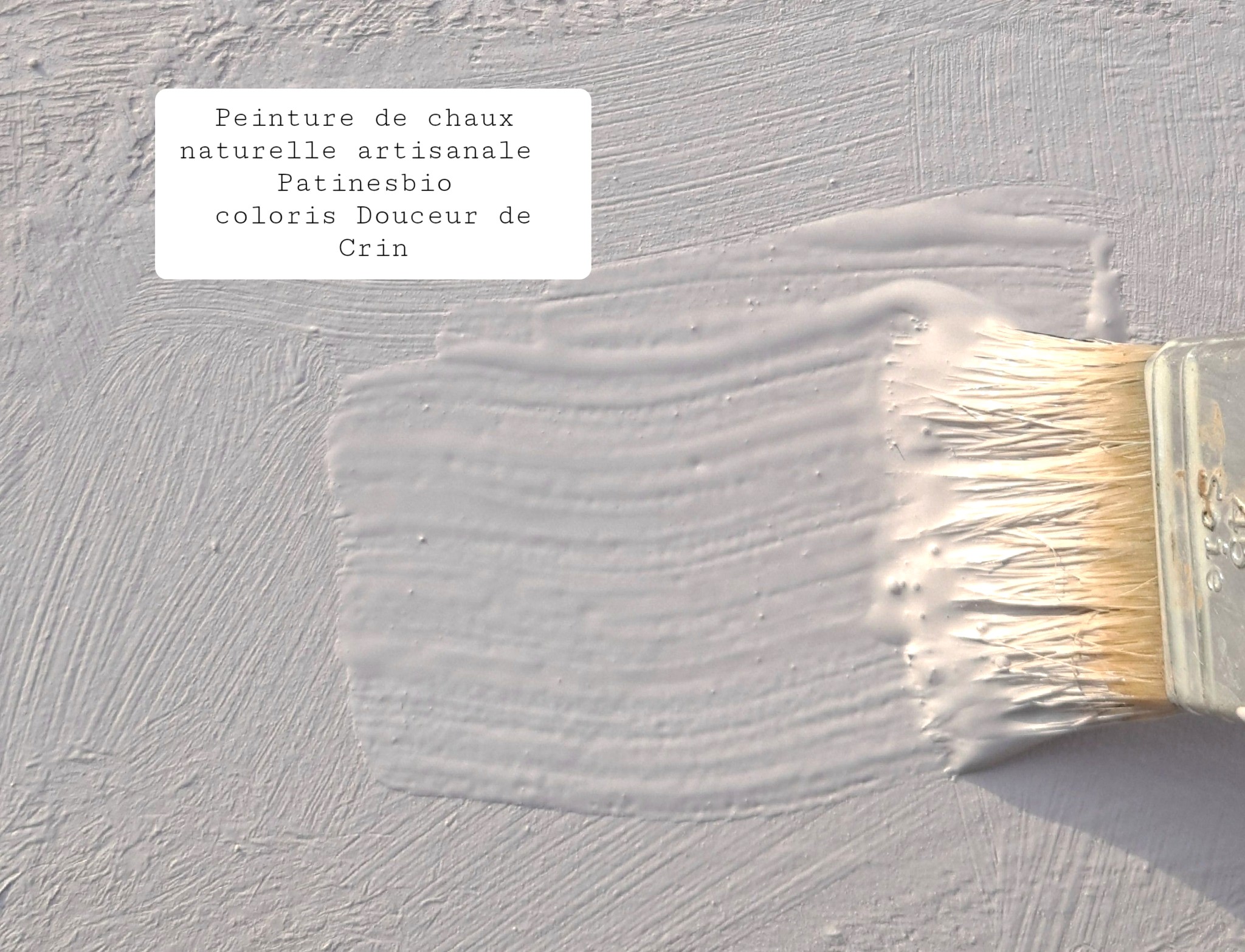 peinture de chaux coloris Douceur de Crin