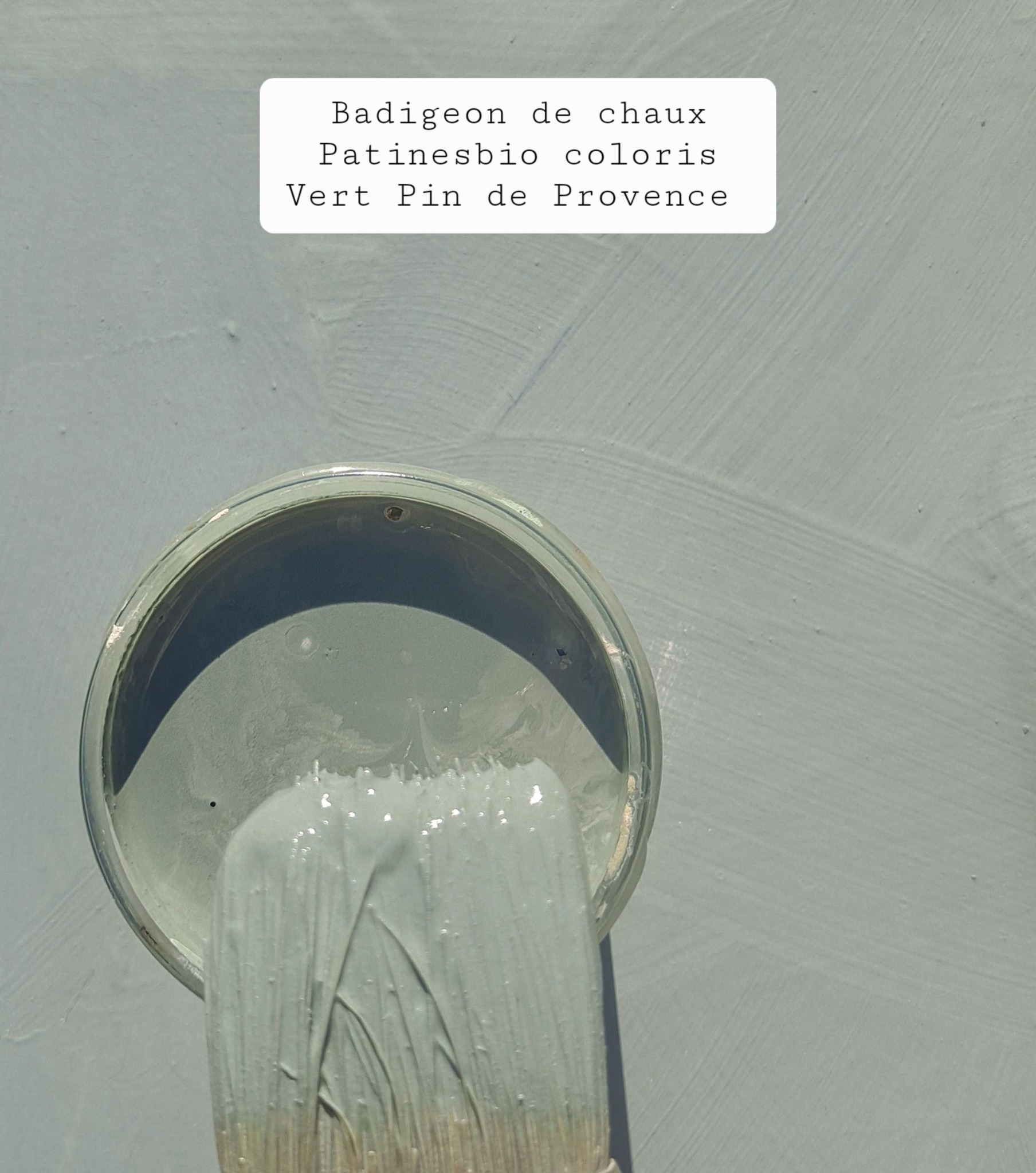 vert pin de provence