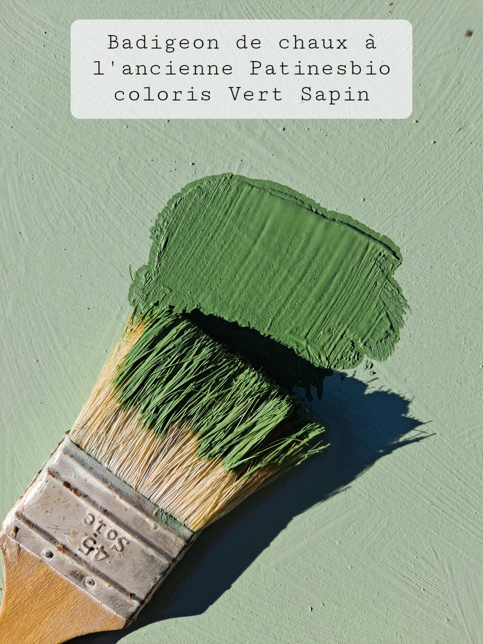 badigeon vert sapin