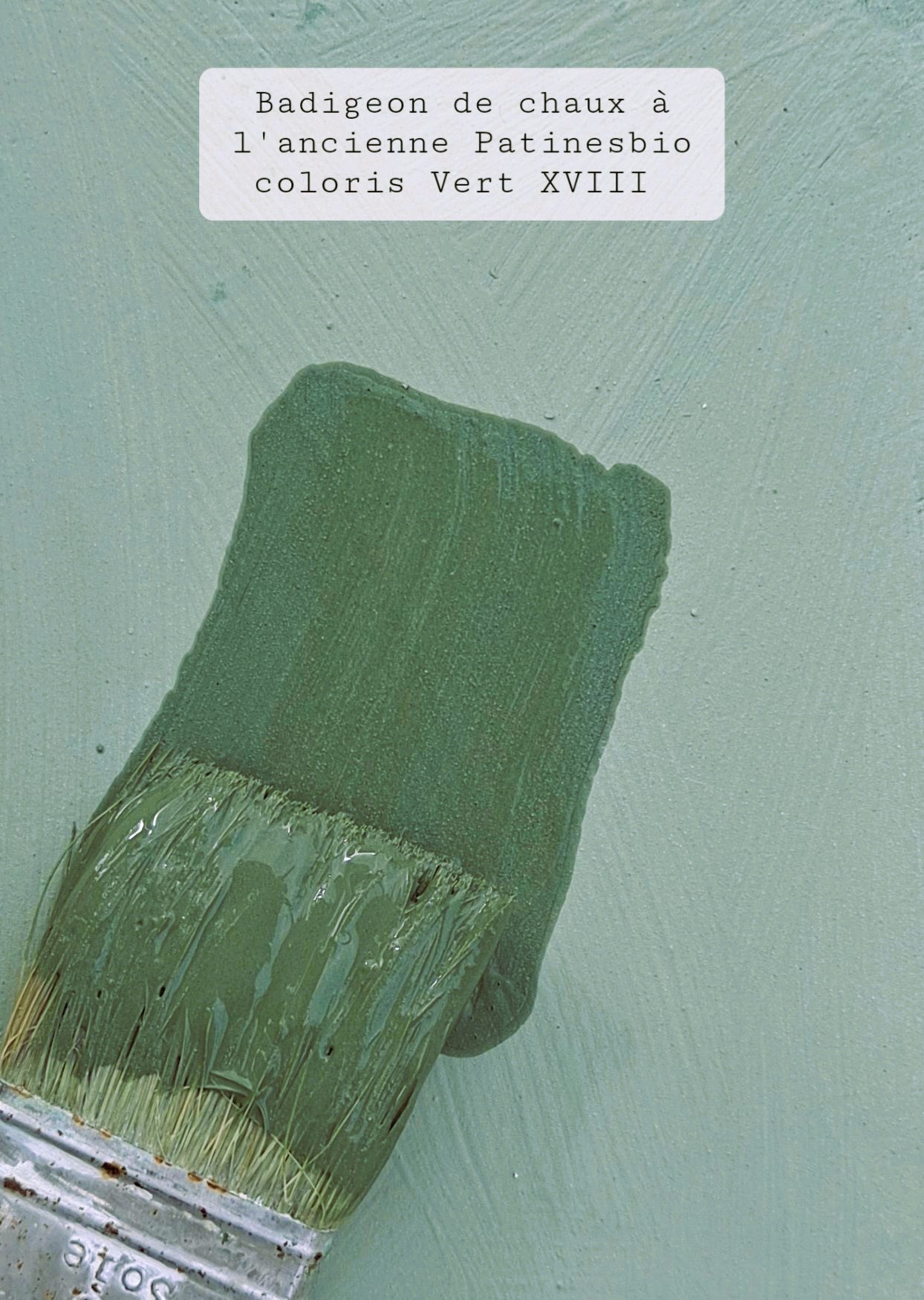 peinture gris vert XVIII