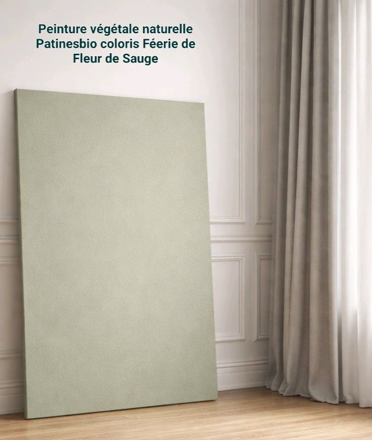 peinture décorative intérieure bio coloris Vert Fleur de Sauge