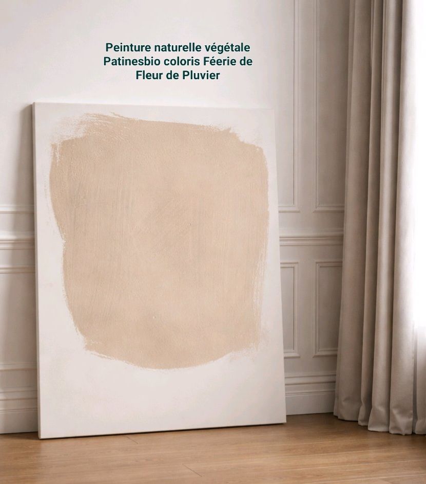 peinture décorative intérieure biosourcée coloris féerie de Fleur de Pluvier
