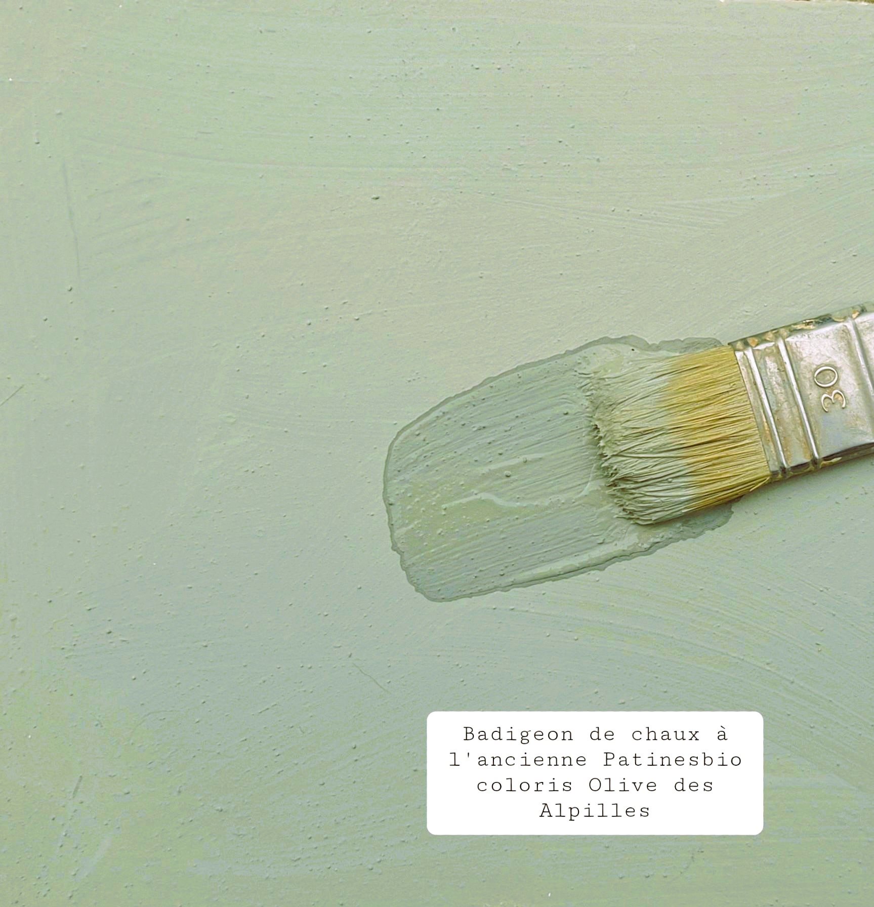 olive des alpilles chaux peinture