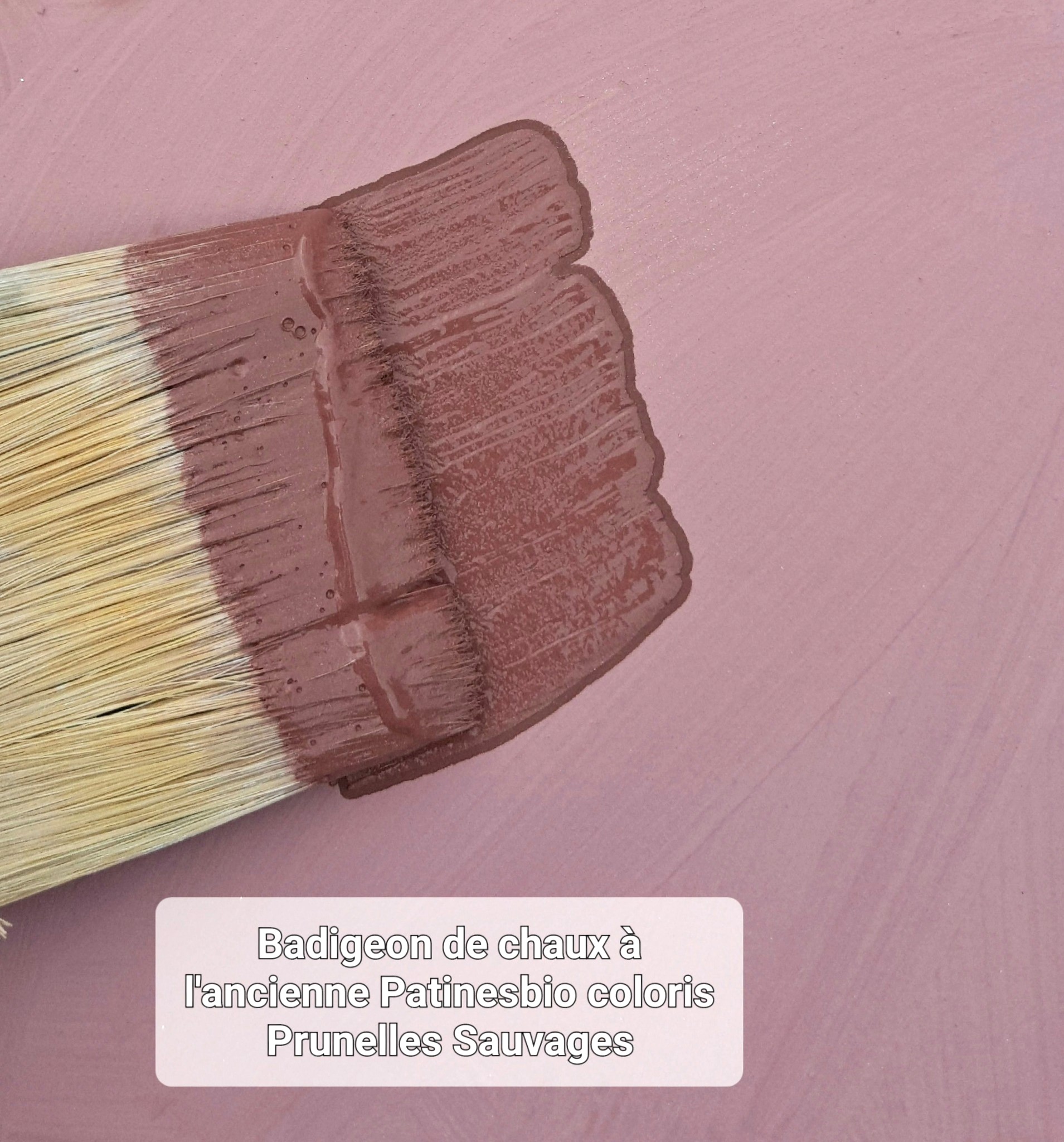 badigeon de chaux coloris Prunelles Sauvages