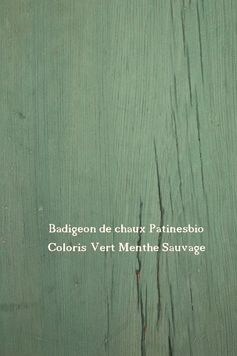 badigeon vert menthe sauvage sur bois
