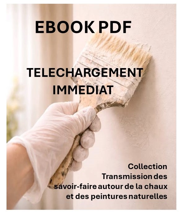 Ebook transmission des savoirs faire chaux