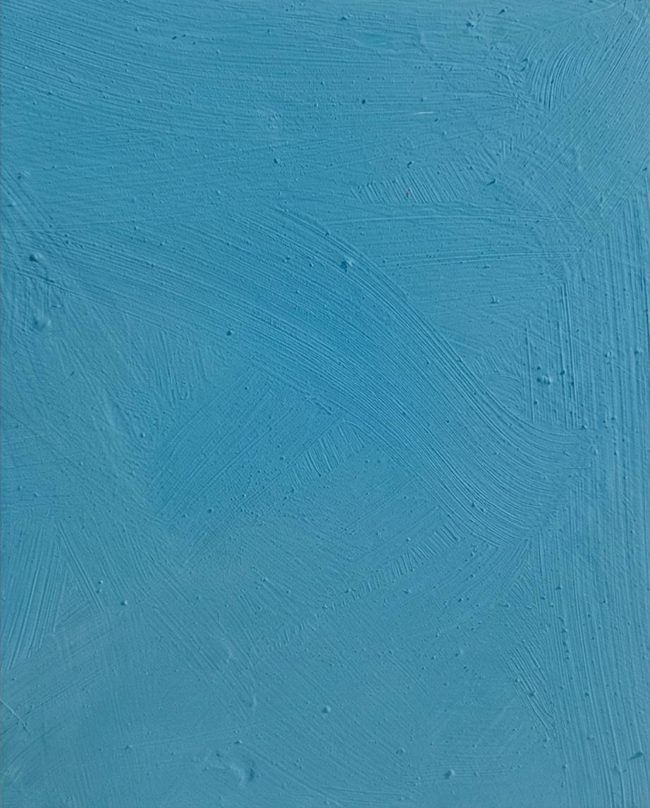 lait de chaux prêt à lemploi pour décoration murale coloris Bleu Vert Colvert