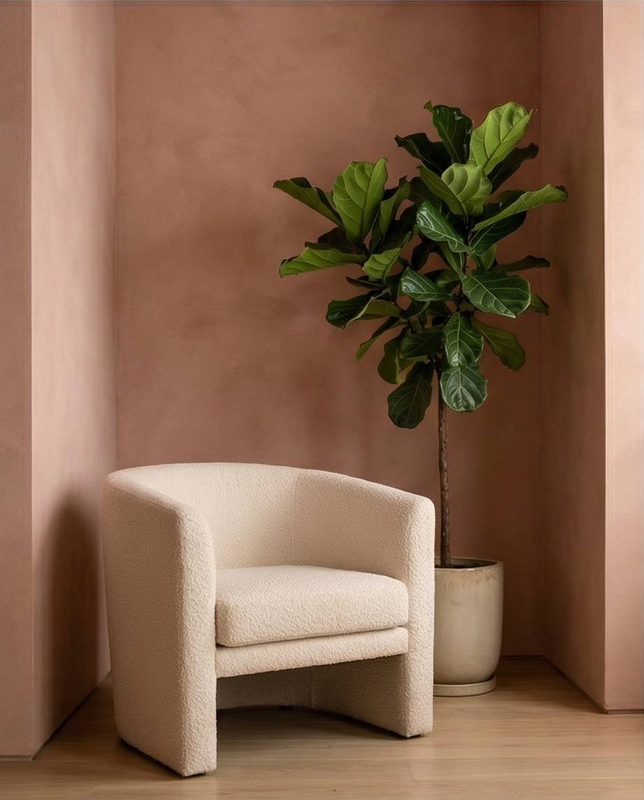 murs vieux rose