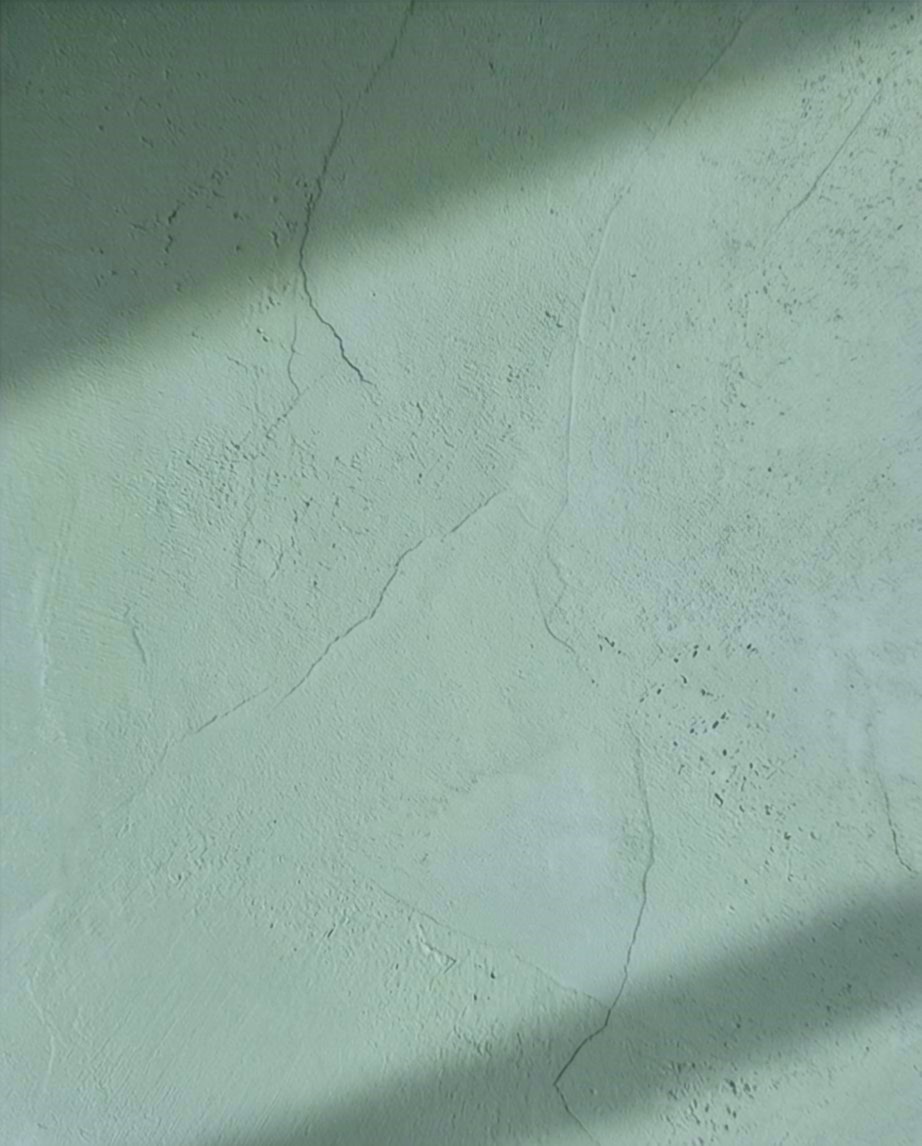 peinture à la chaux vert printemps