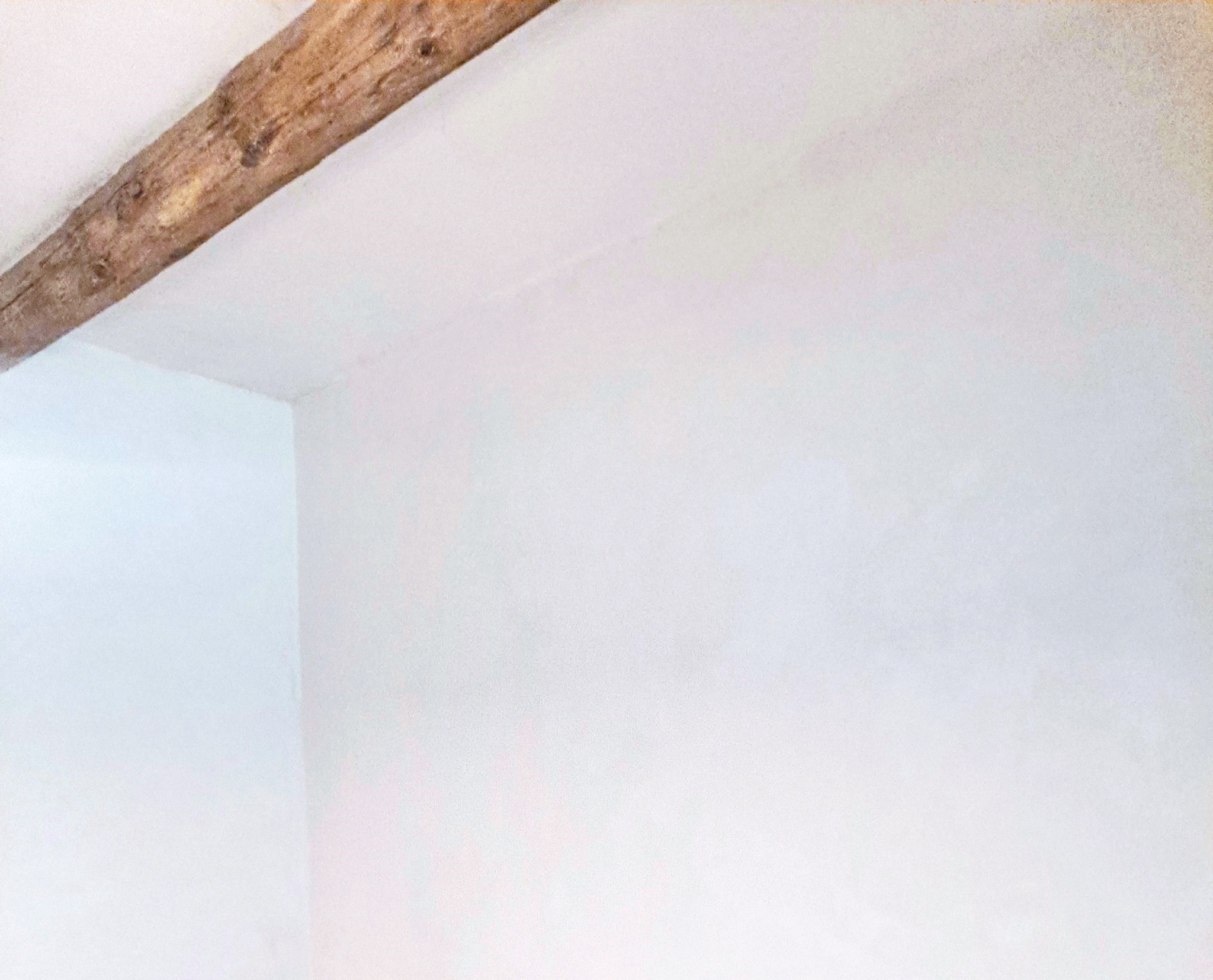 peinture de chaux Blanc Franc