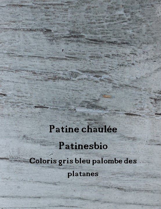 patine-chaulee-gris-bleu palombe des platanes