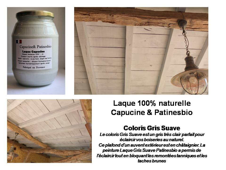 peinture biosourcée poutres 