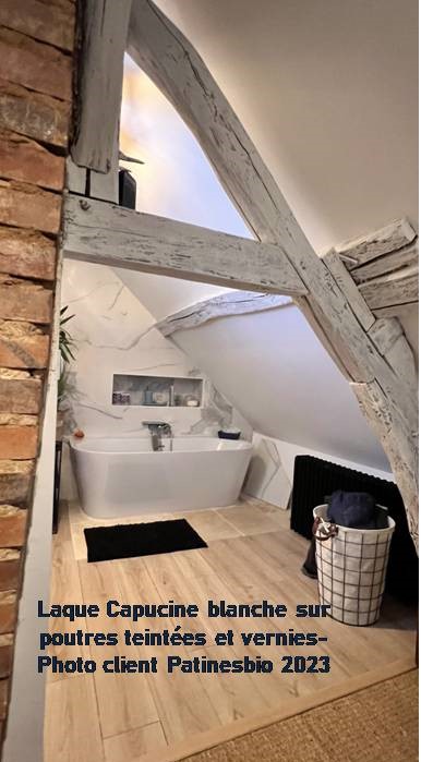 peinture naturelle pour bois extérieur