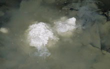 chaux vive mise en presence d eau site