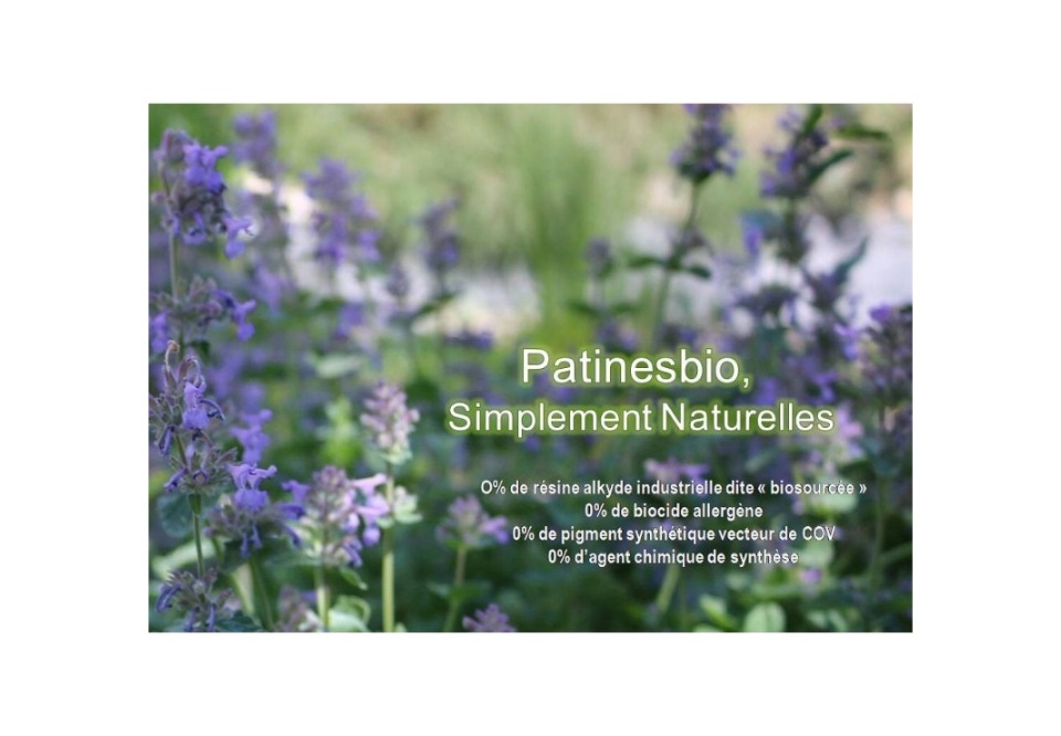 patinesbio simplement naturelles