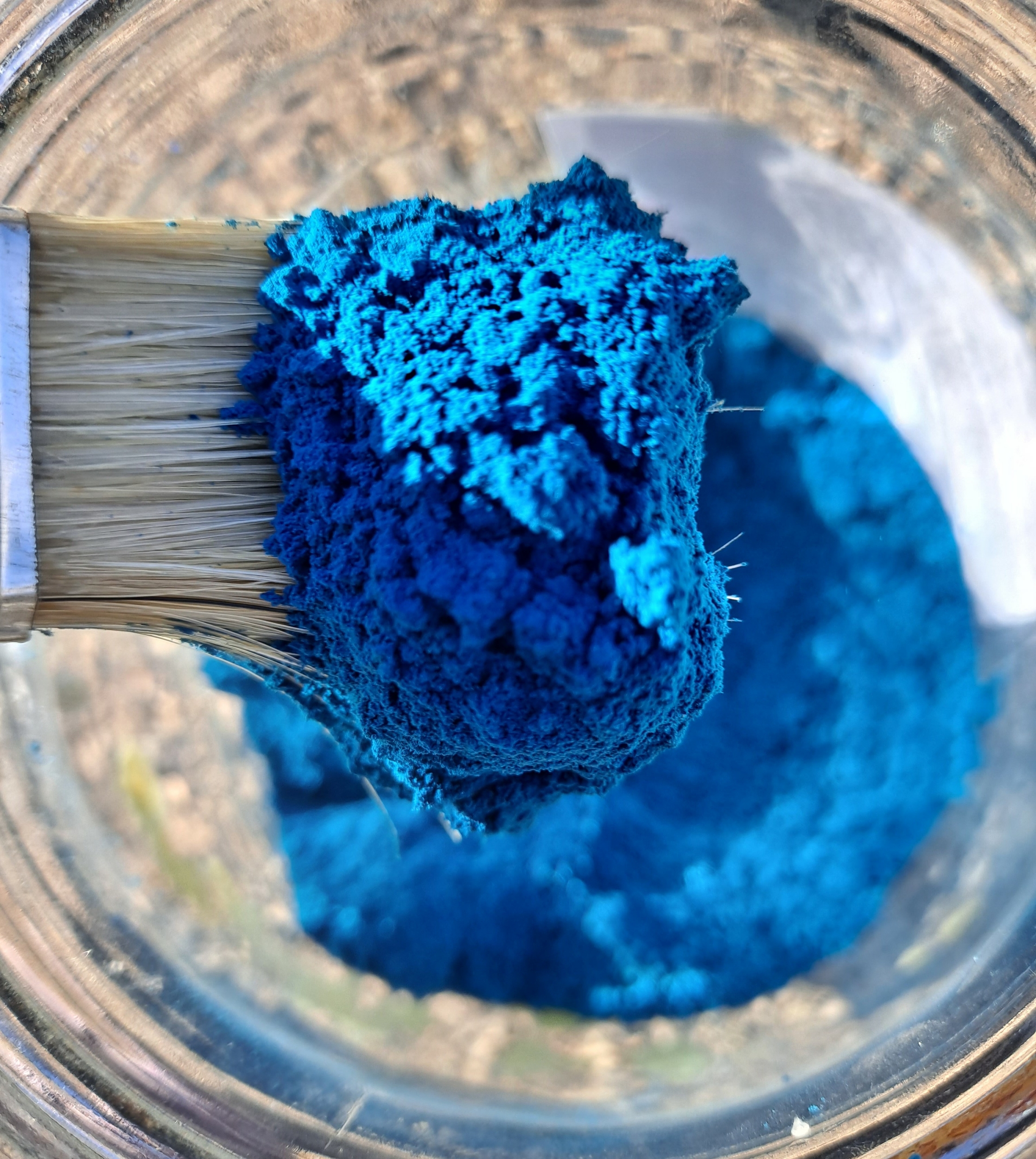 pigment vegetal bleu amerindien