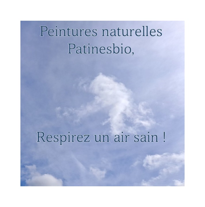 peintures naturelles sans produit chimique
