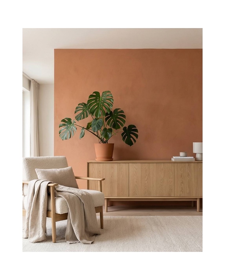 peinture naturelle à l'argile pour murs