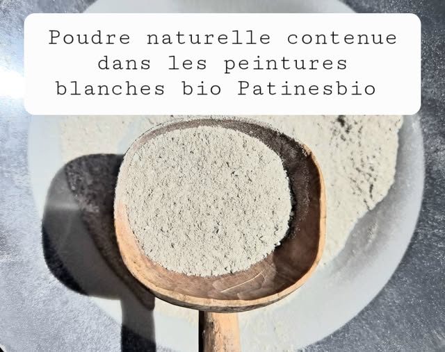 poudre blanche naturelle minerale patinesbio