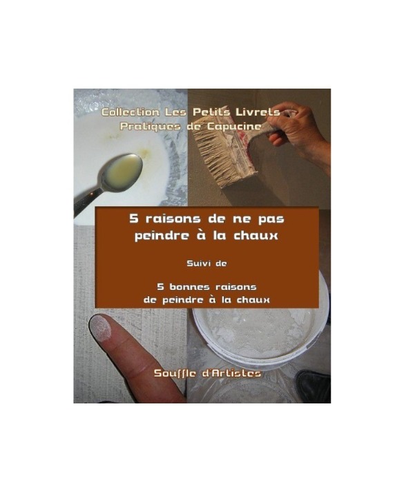 livre 5 raisons de ne pas peindre a la chaux suivi de 5 bonnes raisons de peindre a la chaux
