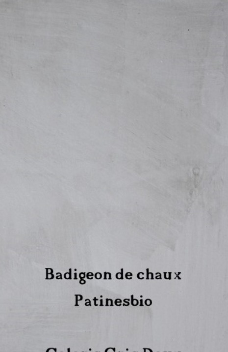 badigeon gris doux rendu