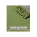 badigeon de chaux bio coloris vert pompadour
