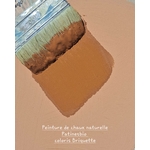 peinture de chaux bio coloris Briquette