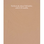 peinture de chaux coloris Briquette