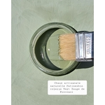 peinture de chaux vert sauge de provence