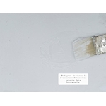 badigeon Gris Tourterelle