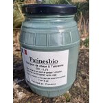 peinture de chaux vert pin de provence