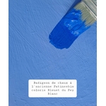 bleuet du Pey Blanc
