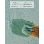 badigeon de chaux Vert Printemps