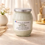 peinture végétale coloris fleur de cactus 950ml