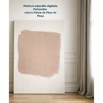 peinture naturelle murale française Beige rosé Fleur de Peau